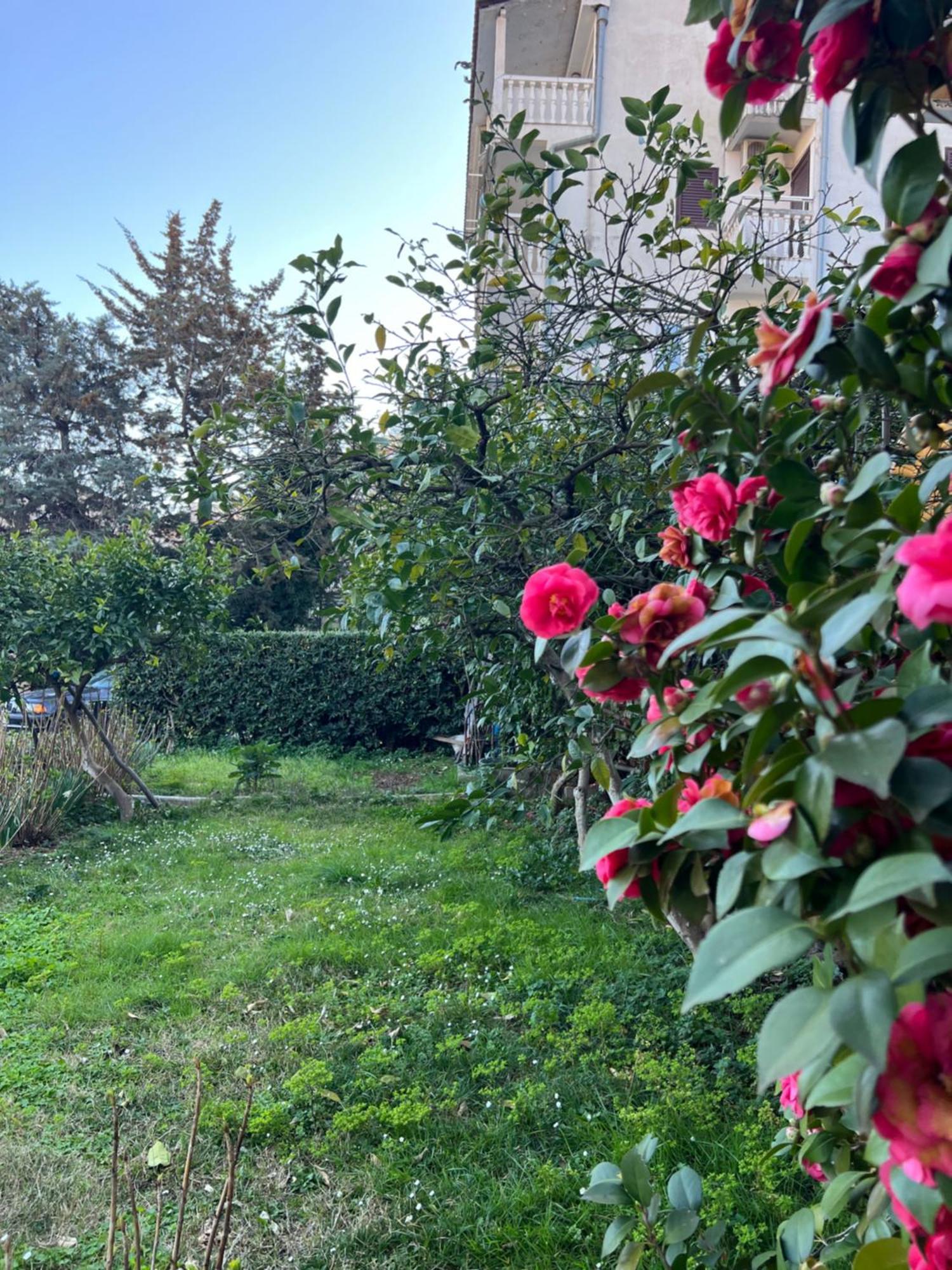 Plima 2 Guest house Budva