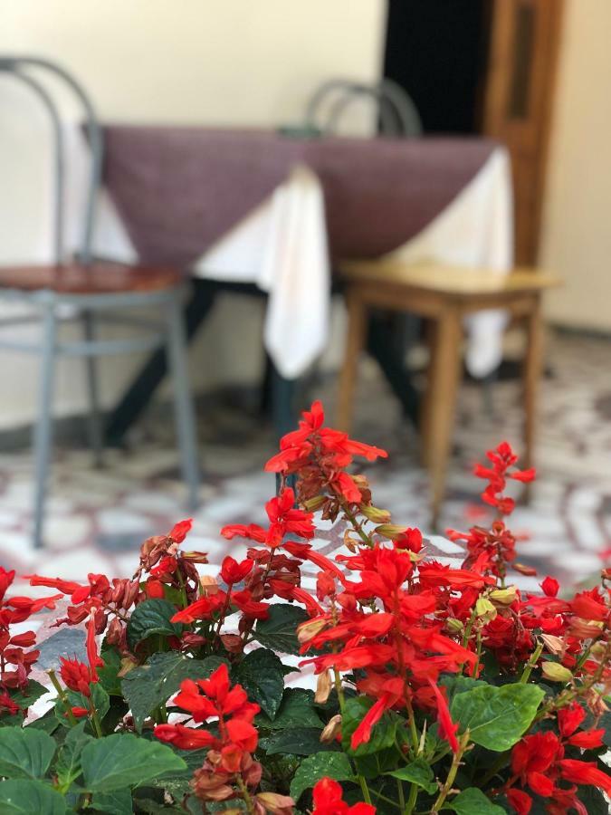 Guest house Plima 2 Budva